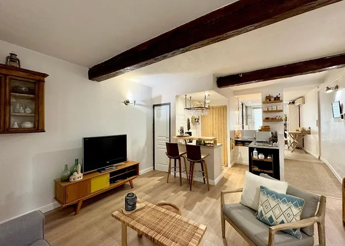 L’écusson Voyageur, Charme Cosy En Centre * Montpellier